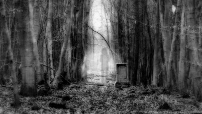 Quelle: flickr © Ranger56112